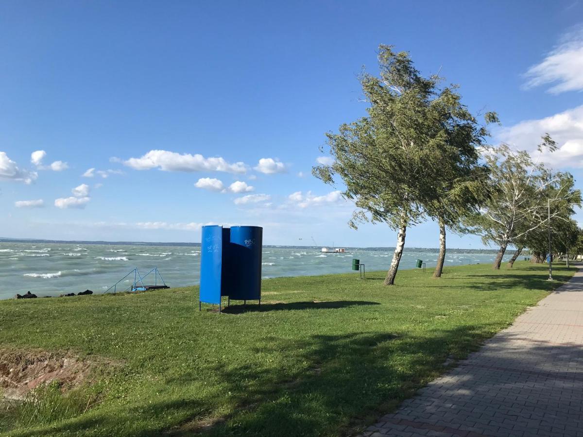 Balatonszabadi Fürdőtelep Retro Hazゲストハウス エクステリア 写真