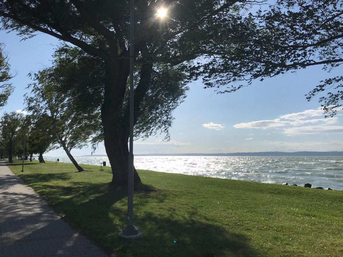 Balatonszabadi Fürdőtelep Retro Hazゲストハウス エクステリア 写真